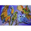 Попугаи Канва с рисунком для вышивки бисером Вышиваем бисером