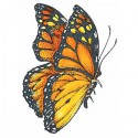Бабочка Монарх Штамп для скрапбукинга, кардмейкинга Plaid