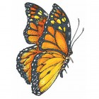 Бабочка Монарх Штамп для скрапбукинга, кардмейкинга Plaid