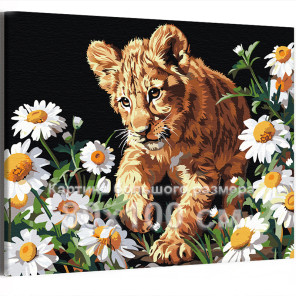 Крадущийся львенок в ромашках Животные Лев Малыш Природа Цветы 80х100 Раскраска картина по номерам на холсте