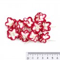 Цветки вишни Красные с белым Цветы бумажные для скрапбукинга, кардмейкинга Scrapberry's