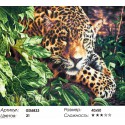 Леопард на охоте Раскраска картина по номерам на холсте