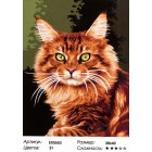 Рыжий кот Раскраска картина по номерам на холсте
