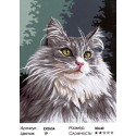 Норвежская лесная кошка Раскраска картина по номерам на холсте