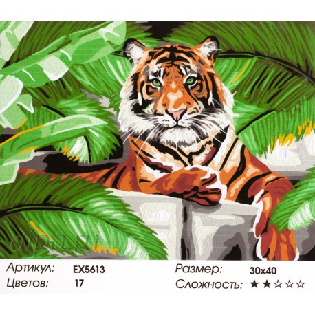 Количество цветов и сложность Зеленоглазый тигр Раскраска картина по номерам акриловыми красками на холсте