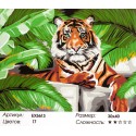 Зеленоглазый тигр Раскраска картина по номерам на холсте