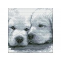 Два белых щенка Набор для вышивания Белоснежка