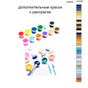 Дополнительные краски для раскраски 40х50 см AAAA-ST0469
