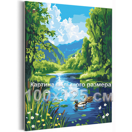 Утки на озере Природа Пейзаж Птицы Пара Любовь На свадьбу Лето