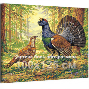 Глухарь Птицы в лесу Пара Природа Семья Весна