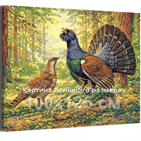 Глухарь Птицы в лесу Пара Природа Семья Весна