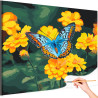 Бабочка на желтых цветах Лето Природа Насекомые Яркая Раскраска картина по номерам на холсте
