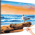  Чайка у моря Закат Пляж Птицы Природа Океан Вода Пейзаж Раскраска картина по номерам на холсте AAAA-NK1657