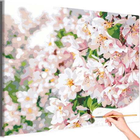 Цветы Сакура Весна Цветущий сад Дерево Раскраска картина по номерам на холсте