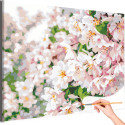 Цветы Сакура Весна Цветущий сад Дерево Раскраска картина по номерам на холсте