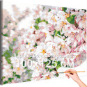 Цветы Сакура Весна Цветущее дерево Сад 100х125 Раскраска картина по номерам на холсте