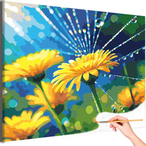 Цветы Одуванчики желтые Природа Лето