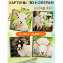  Овца и баран Набор картин по номерам на подрамнике 20х20 см 4 шт 4NP076