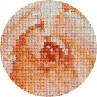 Роза Набор для вышивания Белоснежка