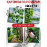  Природа Лето Набор картин по номерам на подрамнике 20х20 см 4 шт 4NP067