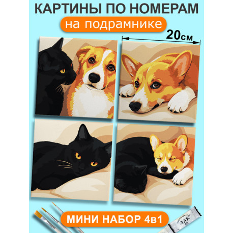Мини картины по номерам на подрамнике Кот и корги Мем 20х20