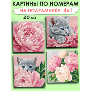Мини картины по номерам на подрамнике Пионы и котик 20х20