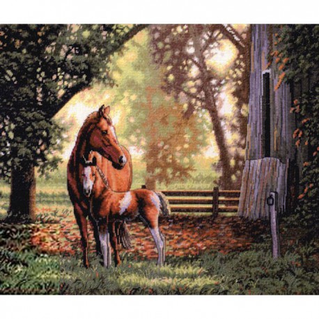 Лошадь с жеребёнком 35260 Набор для вышивания Dimensions ( Дименшенс )