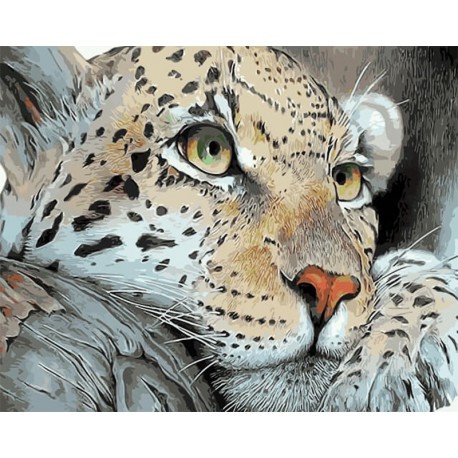Смелый леопард Раскраска картина по номерам акриловыми красками на холсте Menglei