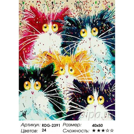 Количество цветов и сложность Глазастые котики Раскраска картина по номерам акриловыми красками на холсте