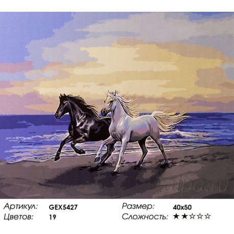 Количество цветов и сложность Белый конь и чёрный Раскраска картина по номерам акриловыми красками на холсте