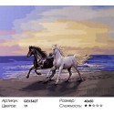 Белый конь и чёрный Раскраска картина по номерам на холсте