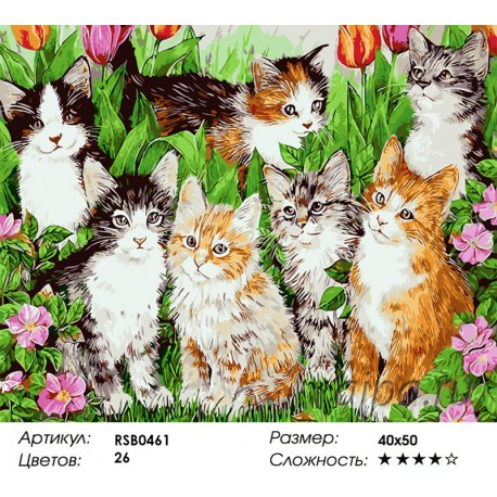 Количество цветов и сложность Семь котят Раскраска картина по номерам акриловыми красками на холсте
