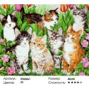 Семь котят Раскраска картина по номерам на холсте