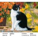 Черно-белый кот Раскраска картина по номерам на холсте