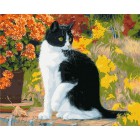 Черно-белый кот Раскраска картина по номерам акриловыми красками на холсте