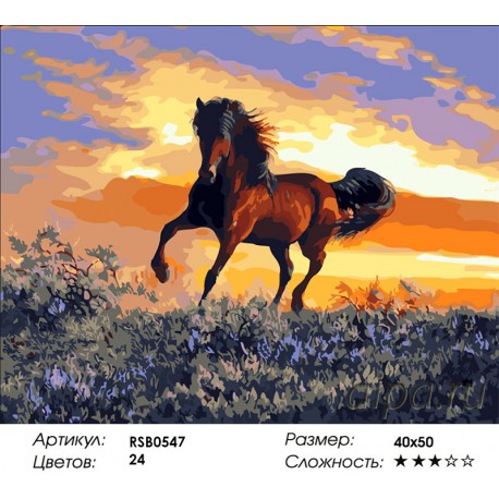 Количество цветов и сложность Конь на закате Раскраска картина по номерам акриловыми красками на холсте