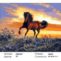 Конь на закате Раскраска картина по номерам на холсте