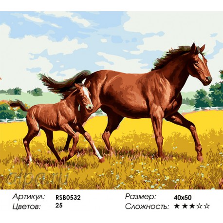 Количество цветов и сложность На Кубани Раскраска картина по номерам акриловыми красками на холсте