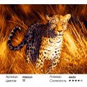 Хищный леопард Раскраска картина по номерам на холсте