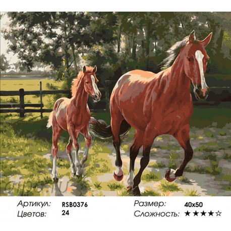 Количество цветов и сложность Лошадь и Жеребенок Раскраска картина по номерам акриловыми красками на холсте