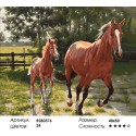 Лошадь и Жеребенок Раскраска картина по номерам на холсте