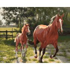 Лошадь и Жеребенок Раскраска картина по номерам акриловыми красками на холсте