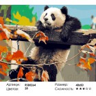 Количество цветов и сложность Лазающая панда Раскраска картина по номерам акриловыми красками на холсте