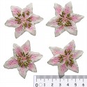 Цветы лилии бело-розовые Цветы бумажные для скрапбукинга, кардмейкинга Scrapberrys