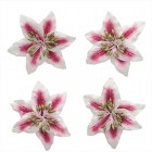 Цветы лилии красно-белые Цветы бумажные для скрапбукинга, кардмейкинга Scrapberry's