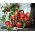 Корзинка яблок Раскраска картина по номерам акриловыми красками на холсте