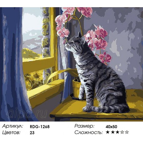 Количество цветов и сложность Кошка на окошке Раскраска картина по номерам акриловыми красками на холсте