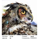Проницательная сова Раскраска по номерам на холсте Color Kit