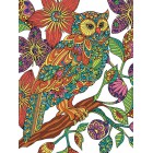 Цветочная сова Раскраска по номерам цветными карандашами Dimensions