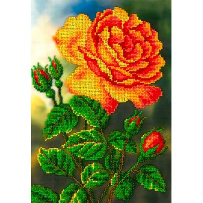 Цветущая роза Набор для частичной вышивки бисером Вышиваем бисером